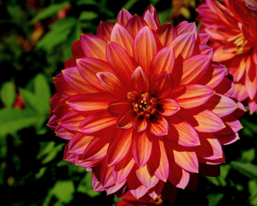 590836 (a): :1700x1361